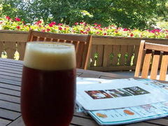 񂳂̖G؂̑ ROCKւ̓eʐ^1