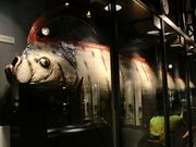 picorock̐_ސ쌧̐Enق̓eʐ^1