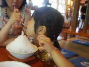 arisan̒@^ǁ@ȁ[̓eʐ^1