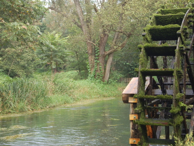 Ȃ̑剤킳є_(剤_Еt)̓eʐ^1