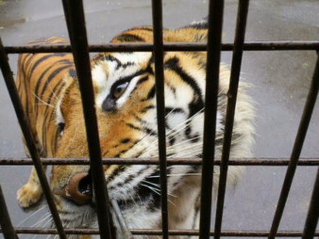 �H�g�䎩�R���������T�t�@�������h