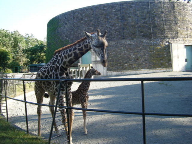 �~�R������