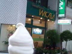 p̃XEB[gnEX 킩΂ւ̓eʐ^1