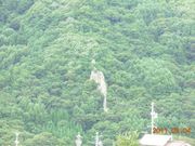 NłB̌䉮~(^cِ)̃}ccW̓eʐ^1