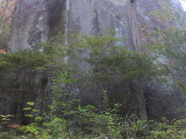 ���̋��V����