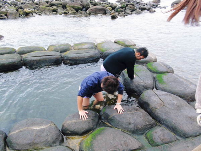 ₿傳̐ClIVC̓eʐ^1