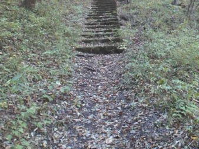 ���̋��V����