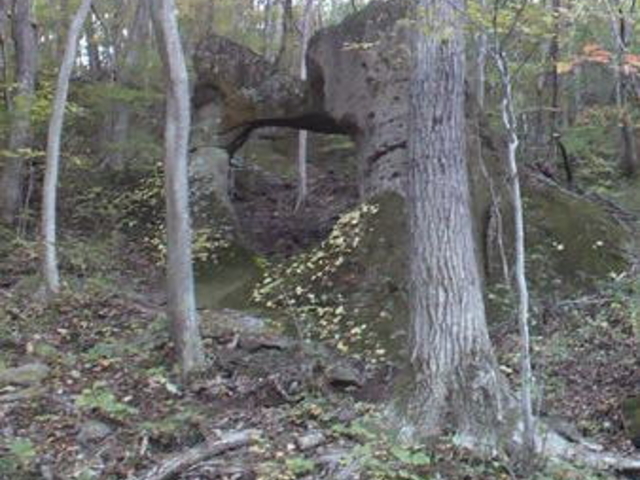 ���̋��V����