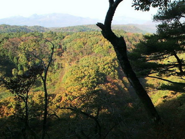 ���̋��V����