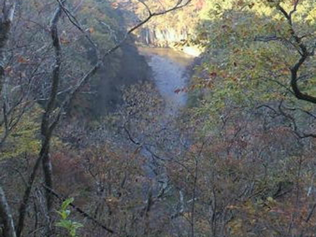 ���̋��V����