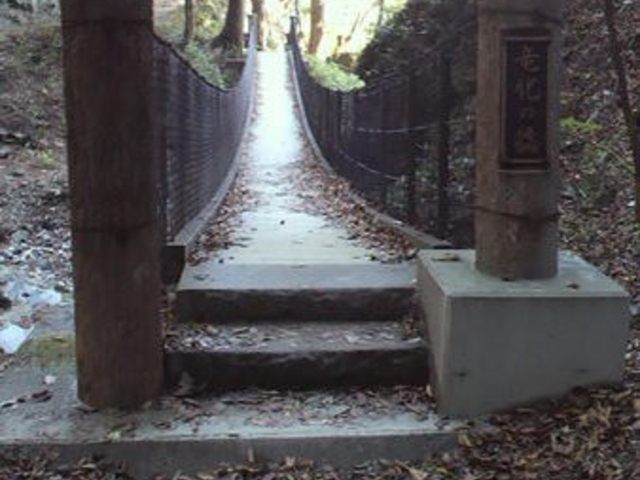 �����̑�