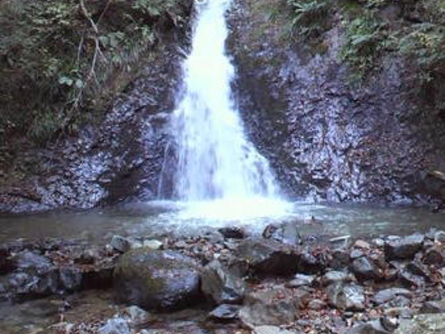 �����̑�