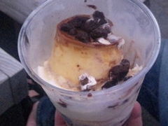 ���{�����X�̎ʐ^1