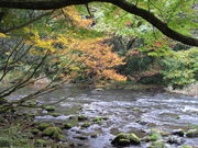 Ђł񂳂̒ߐkV̓eʐ^1