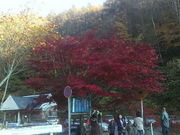 ݂񂮂݂₿搶̔̓eʐ^1