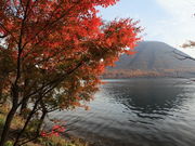 take0̐YRiYxmj̓eʐ^1