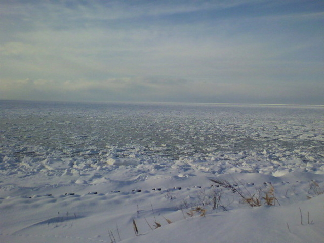 �I�z�[�c�N�C�̗��X