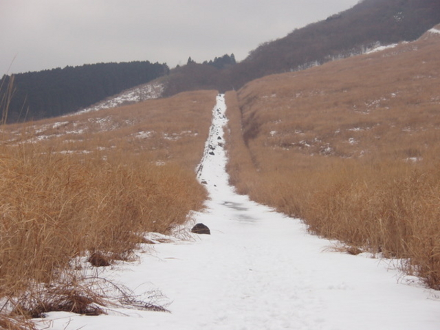 ��Ό�����