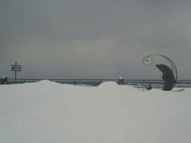 �m�V���b�v��