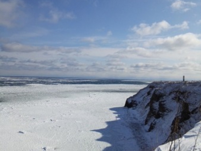 �\�斦�C��