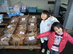 䂤̒ËR`tBbV[}YrbWւ̓eʐ^1