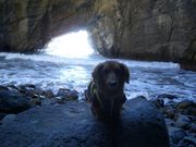 makko̓cThXL[̓eʐ^1