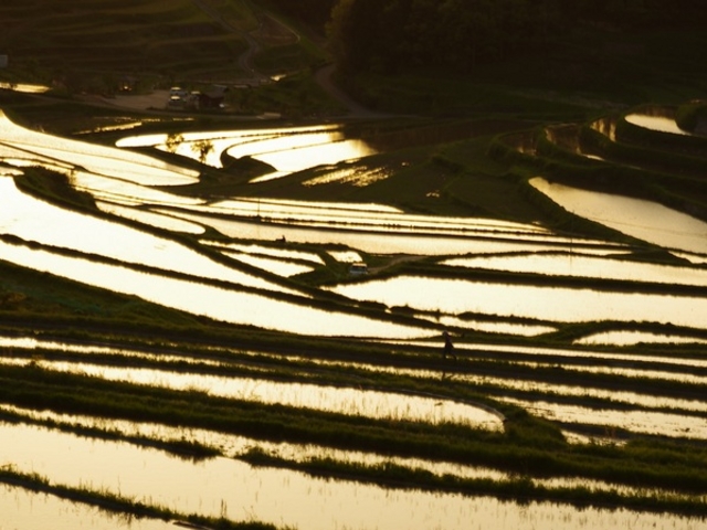 肳̔璬E嚸a̒Ic̓eʐ^1