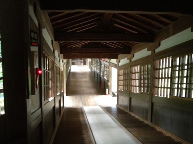 �����@��{�R�i����