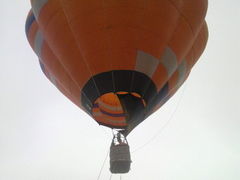 �Ƃ��݂���̏\���l�C�`���[�Z���^�[�ւ̓��e�ʐ^1