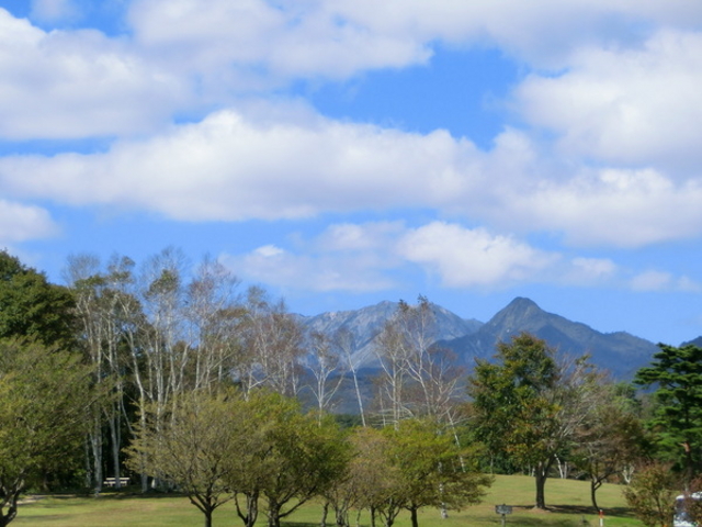 ܂񁙂񂳂̔̋u̓eʐ^1