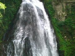 ЂƂ݂񂳂̔ԏւ̓eʐ^1