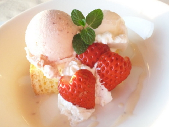 Nԉw̃V[TChJv̓eʐ^1