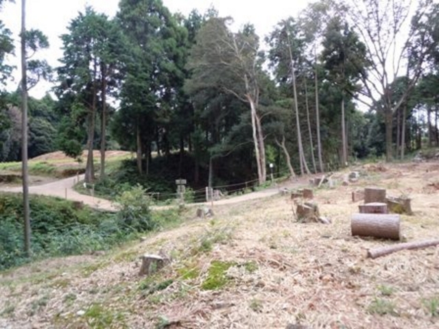 �z�K�����