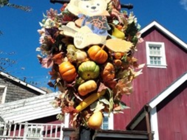 �����f�B�Y�j�[�V�[(R)