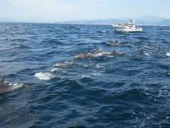 CJEHb`Oỉw VsCJZ^[j̎ʐ^1