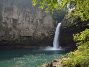 �_�C�������h�K�X�g����̂��̂��̑�̓��e�ʐ^1