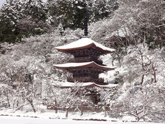 金剛院の写真一覧 - じゃらんnet