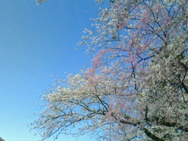 �Ԋ�����@�z�e���Ԋ�