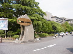 tomsan̖킳zeւ̓eʐ^1