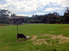 ɂ񂽂̃rIX̋uւ̓eʐ^1