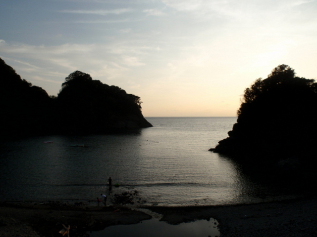 �����C������