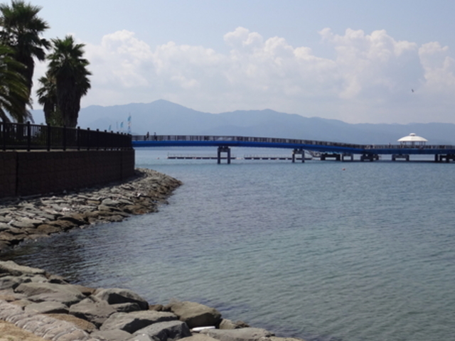 ��������C�ތ���