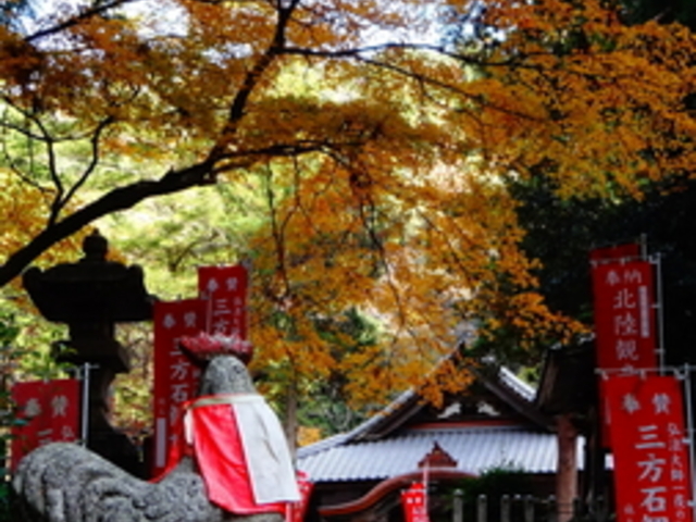 �O���Ίϐ���