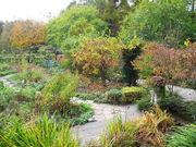 3002ȍ oN CObV K[f̓eʐ^1