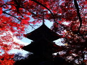 ǁ[̐^@i^Ɋyj̓eʐ^1