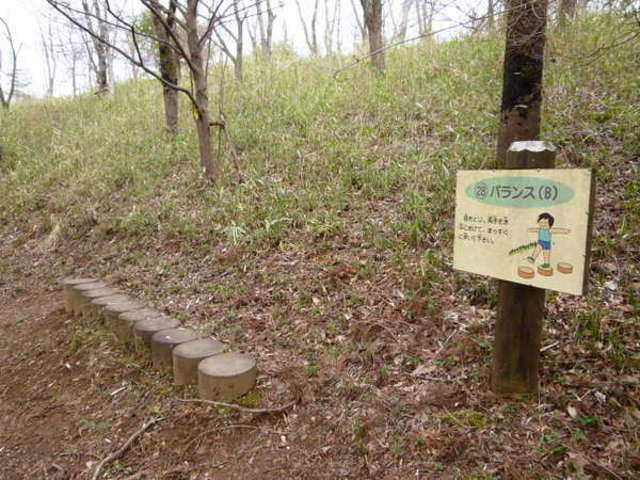 �v�q�������R�����u�v�q�̐X�v