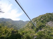 Ⴓ񂳂̏Ɨt݋̓eʐ^1