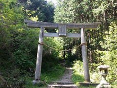 �������܂񂳂�̗��܎R�ւ̓��e�ʐ^1