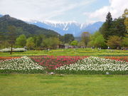 ̍cAvXÂ݂̌@xE䍂n̓eʐ^1