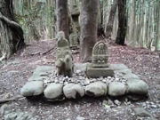 ꍆ̔܂̕⸈󓃂̓eʐ^1